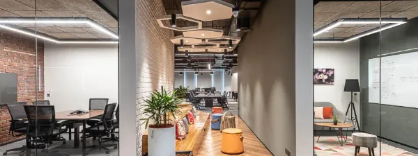 Standard Talent Group LTD.