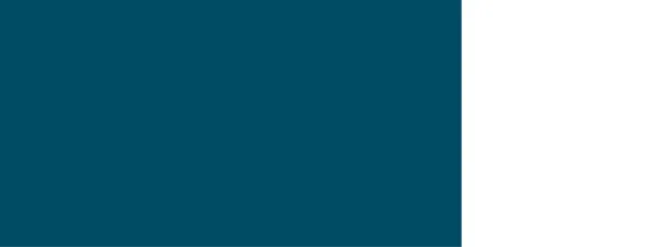 VIPulse Agency