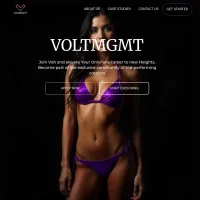 VoltMGMT website screenshot