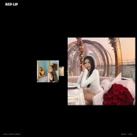 RedLip website screenshot