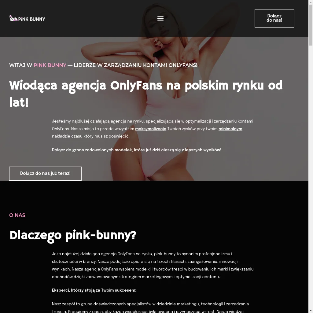 Pink Bunny website preview