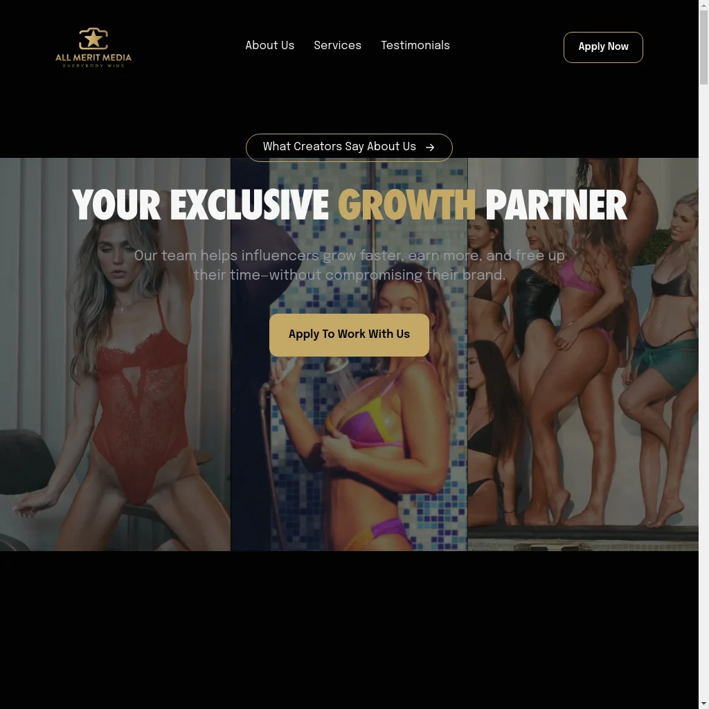 All Merit Media website preview