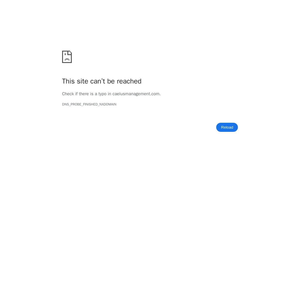 Caelus Management website preview