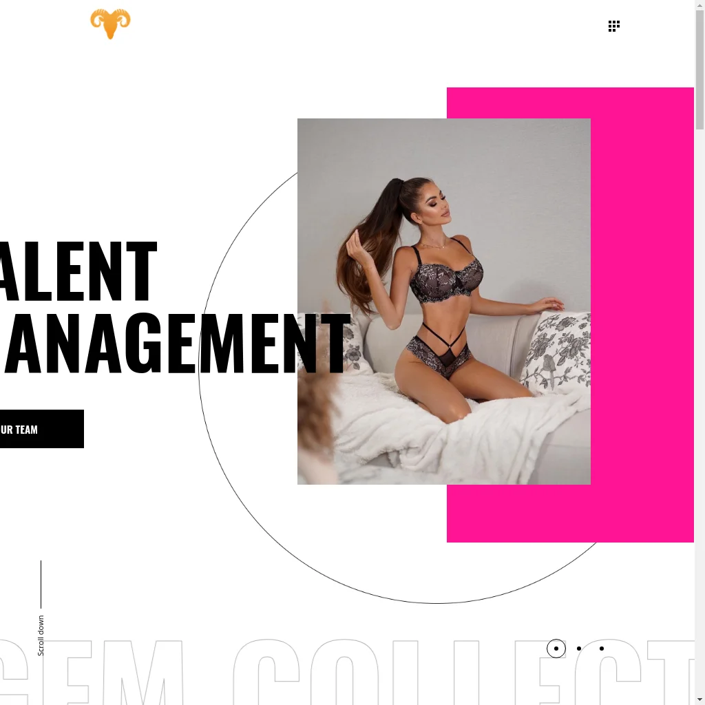 GFM Collective website preview