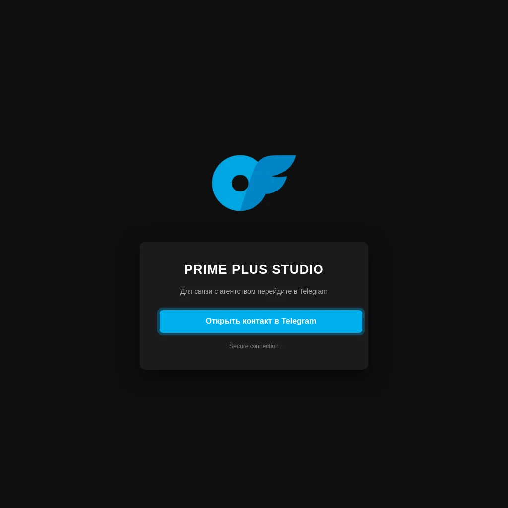 Prime Plus Studio website preview