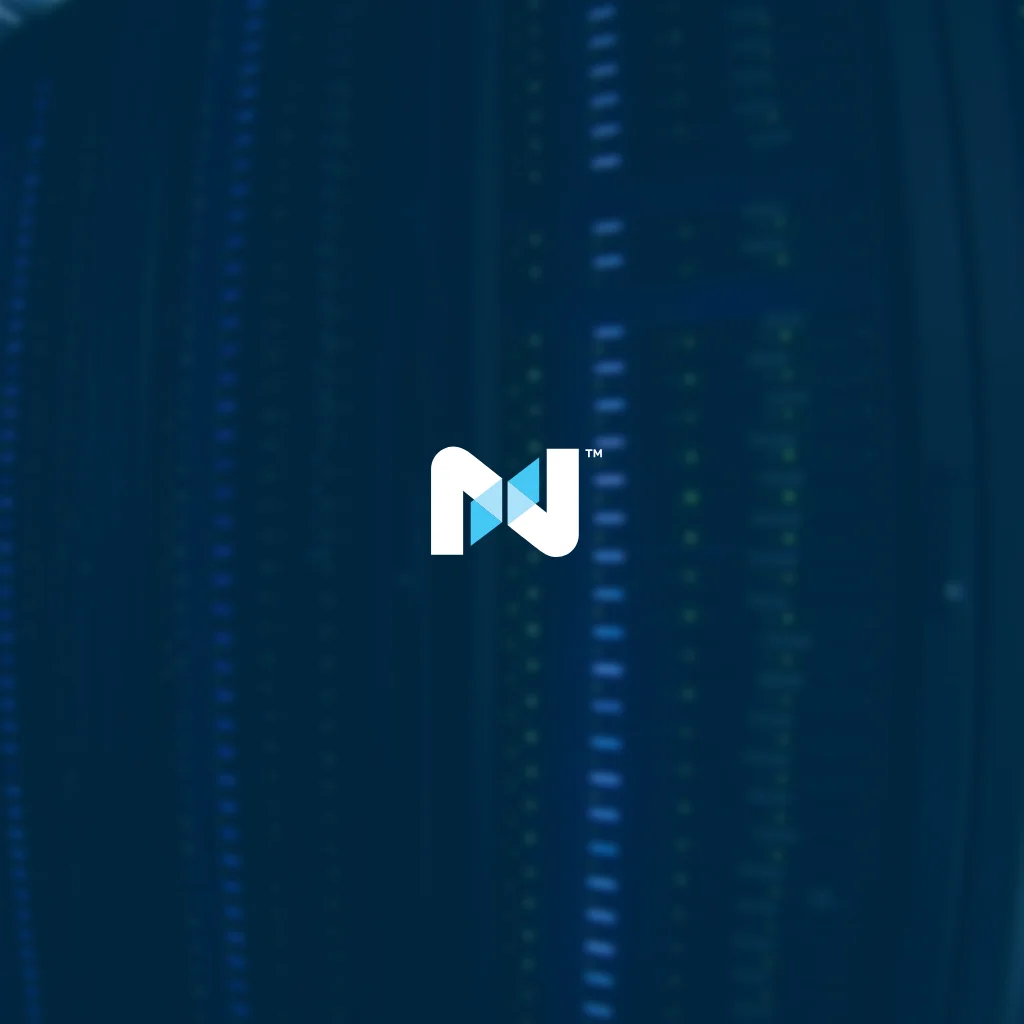 RSF Agency website preview