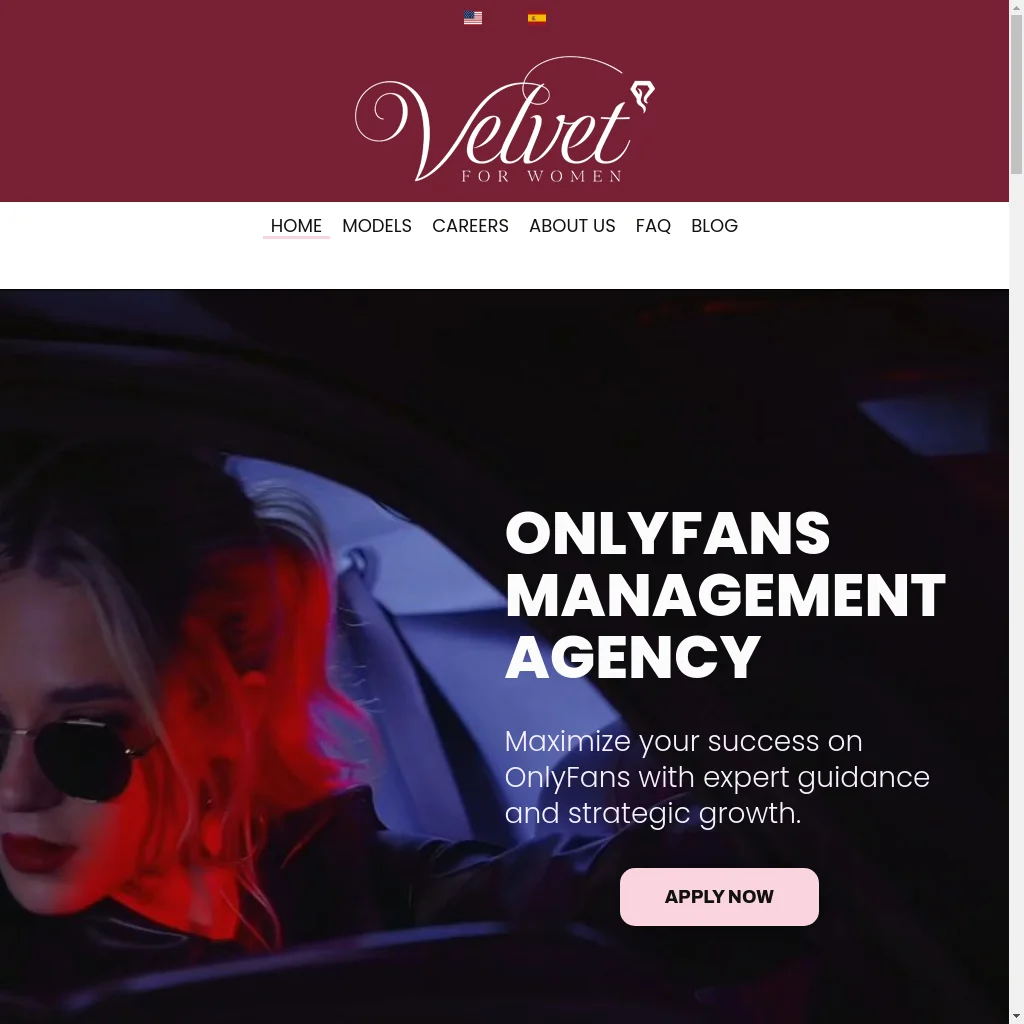 Velvet website preview