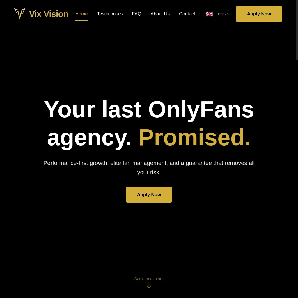 Vix Vision Agency website preview