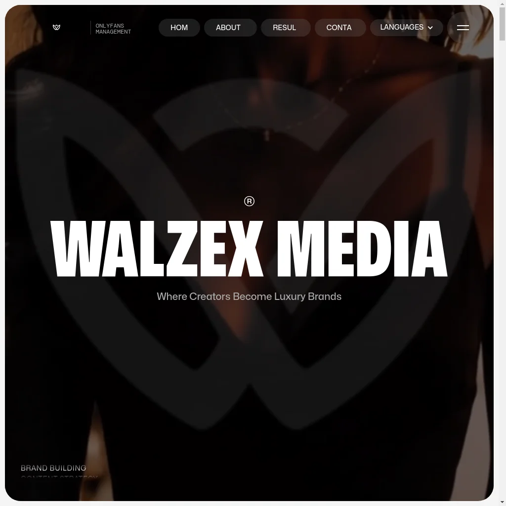walzex media website preview