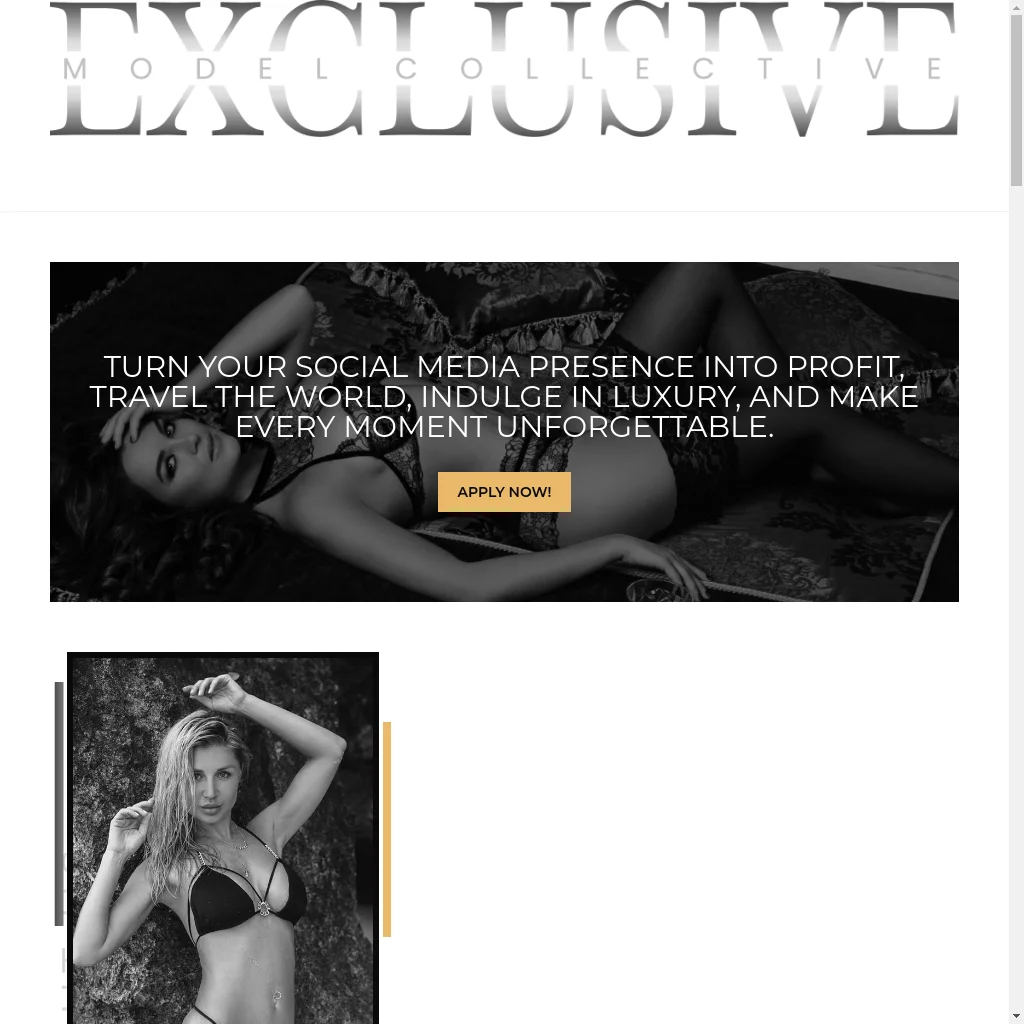 Exclusive Model Collective website preview