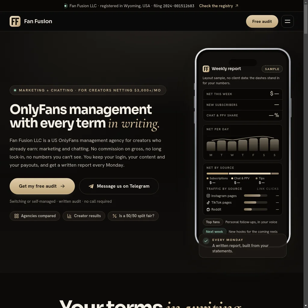 Fan Fusion website preview