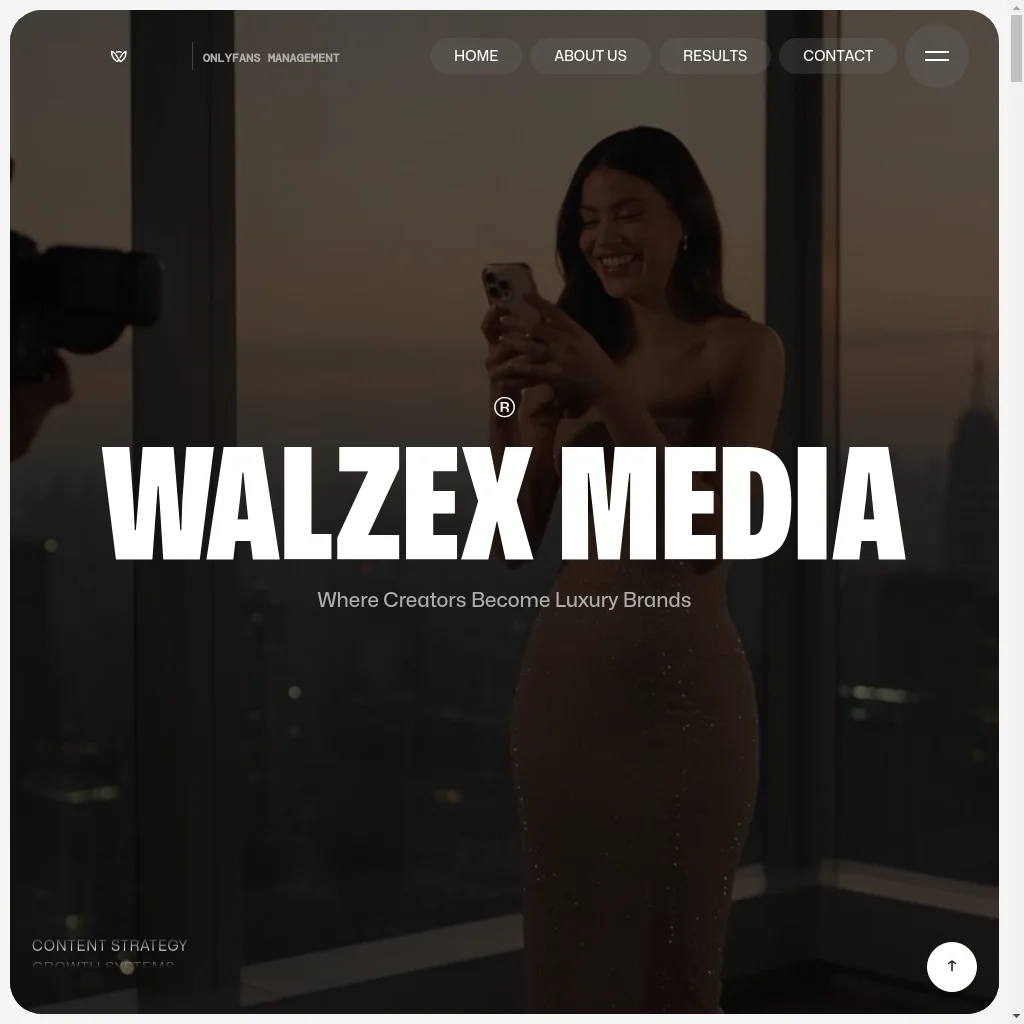 walzex media website preview
